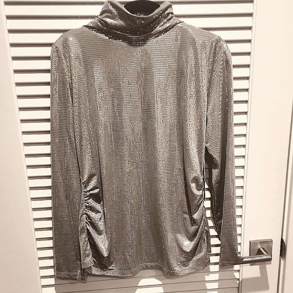 Shimmering Silver Turtleneck Top